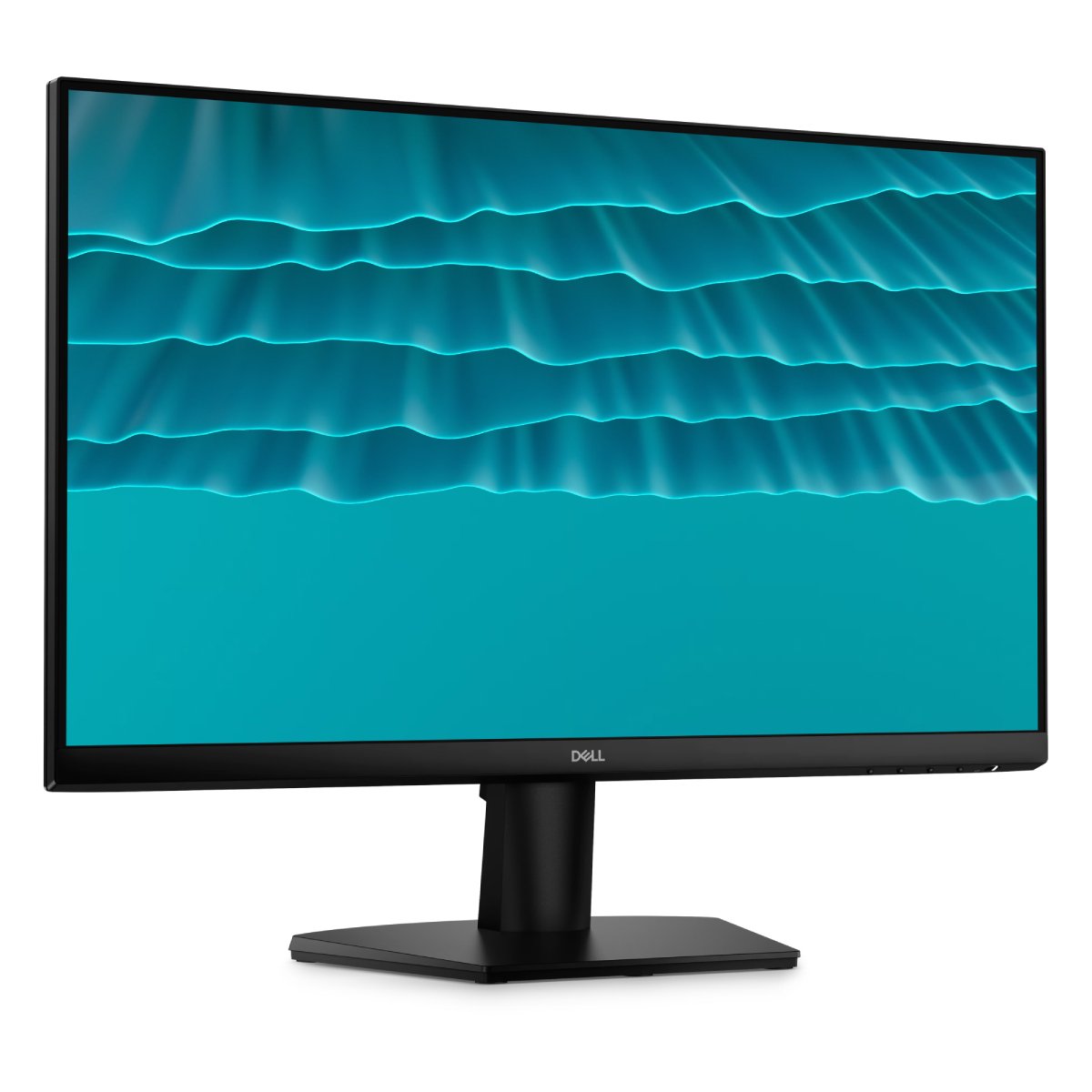 Monitor Dell SE2426H în Moldova - xstore.md photo 0
