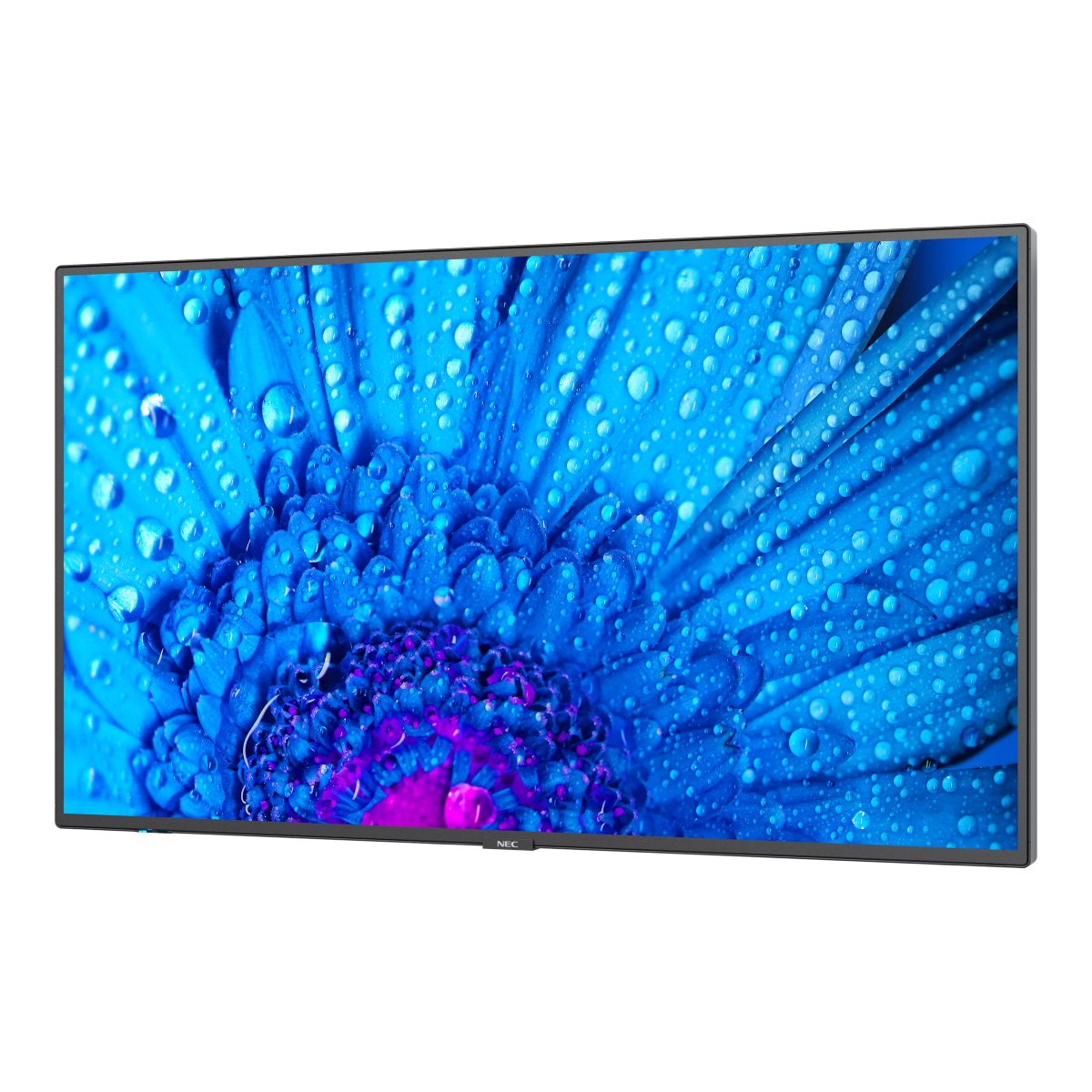 Профессиональный дисплей NEC MultiSync M651 – купить в Молдове - xstore.md photo 1