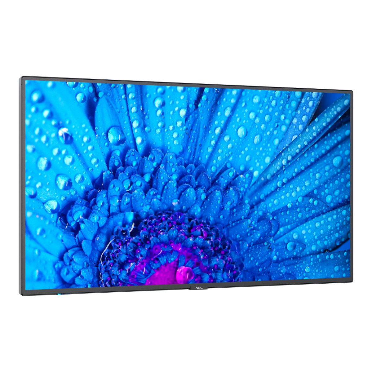 Профессиональный дисплей NEC MultiSync M651 – купить в Молдове - xstore.md photo 0