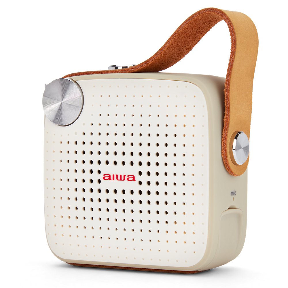 Boxă portabilă Aiwa BS-100GY în Moldova - xstore.md photo 1