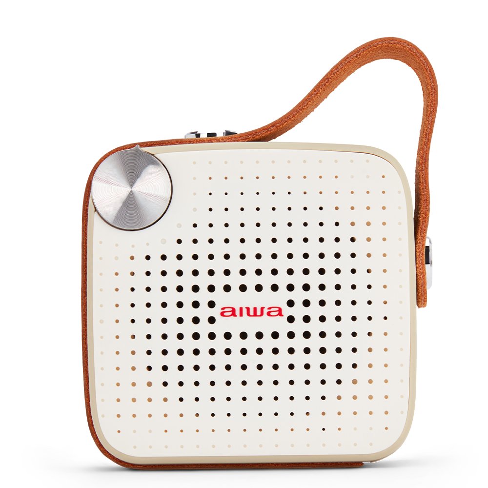 Boxă portabilă Aiwa BS-100GY în Moldova - xstore.md photo