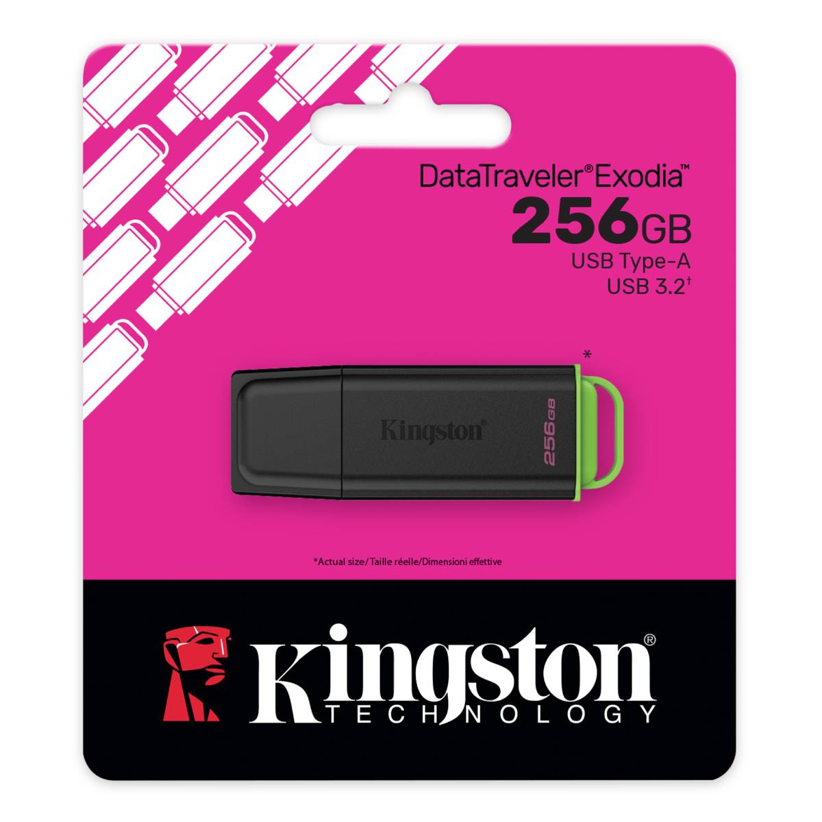USB Flash Kingston DataTraveler Exodia G2 256GB, Black în Moldova - xstore.md photo 0