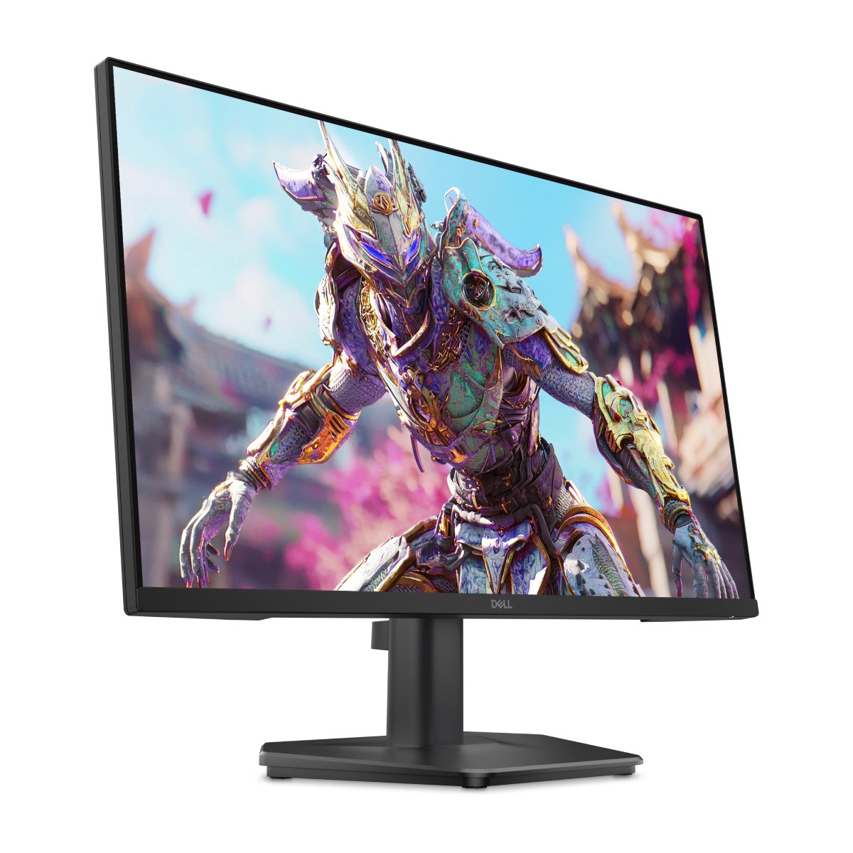 Монитор Dell SE2426HG в Молдове - xstore.md photo 0