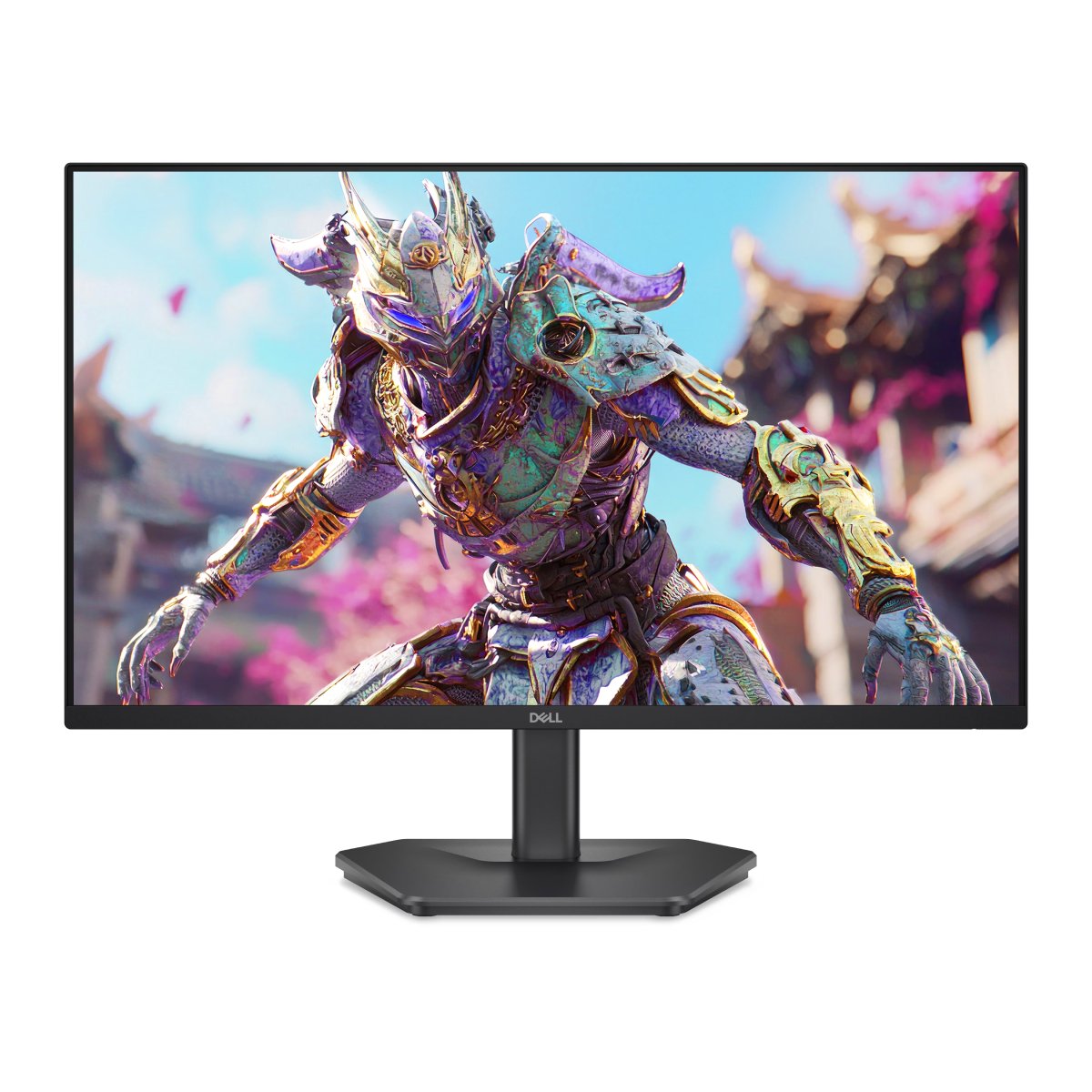 Монитор Dell SE2426HG в Молдове - xstore.md photo