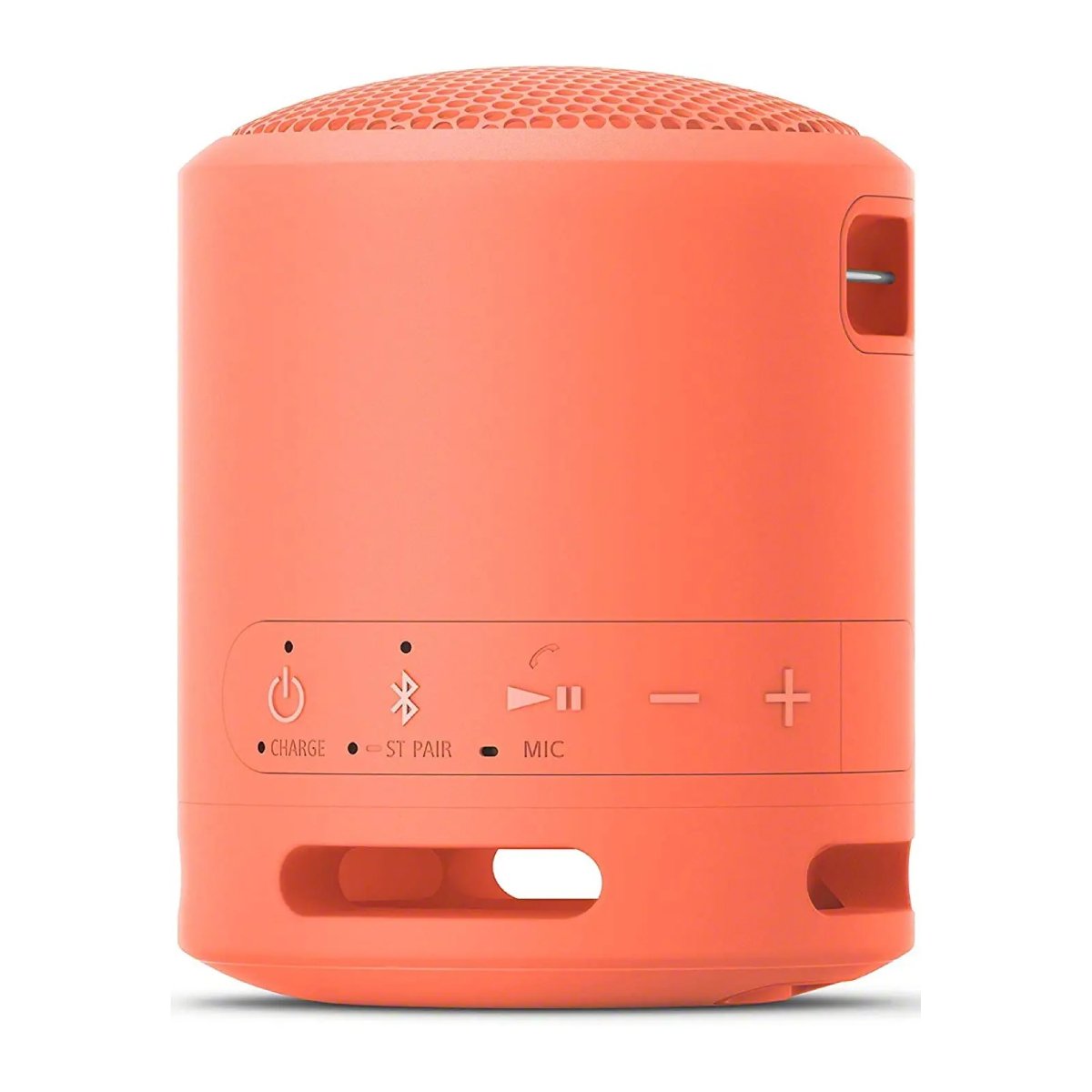Boxă portabilă Sony SRS-XB13 în Moldova - xstore.md photo 1