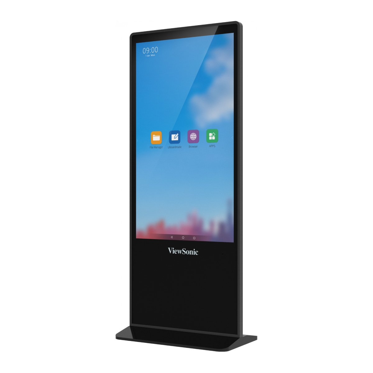 Профессиональный дисплей ViewSonic EP5542 – купить в Молдове - xstore.md photo 1