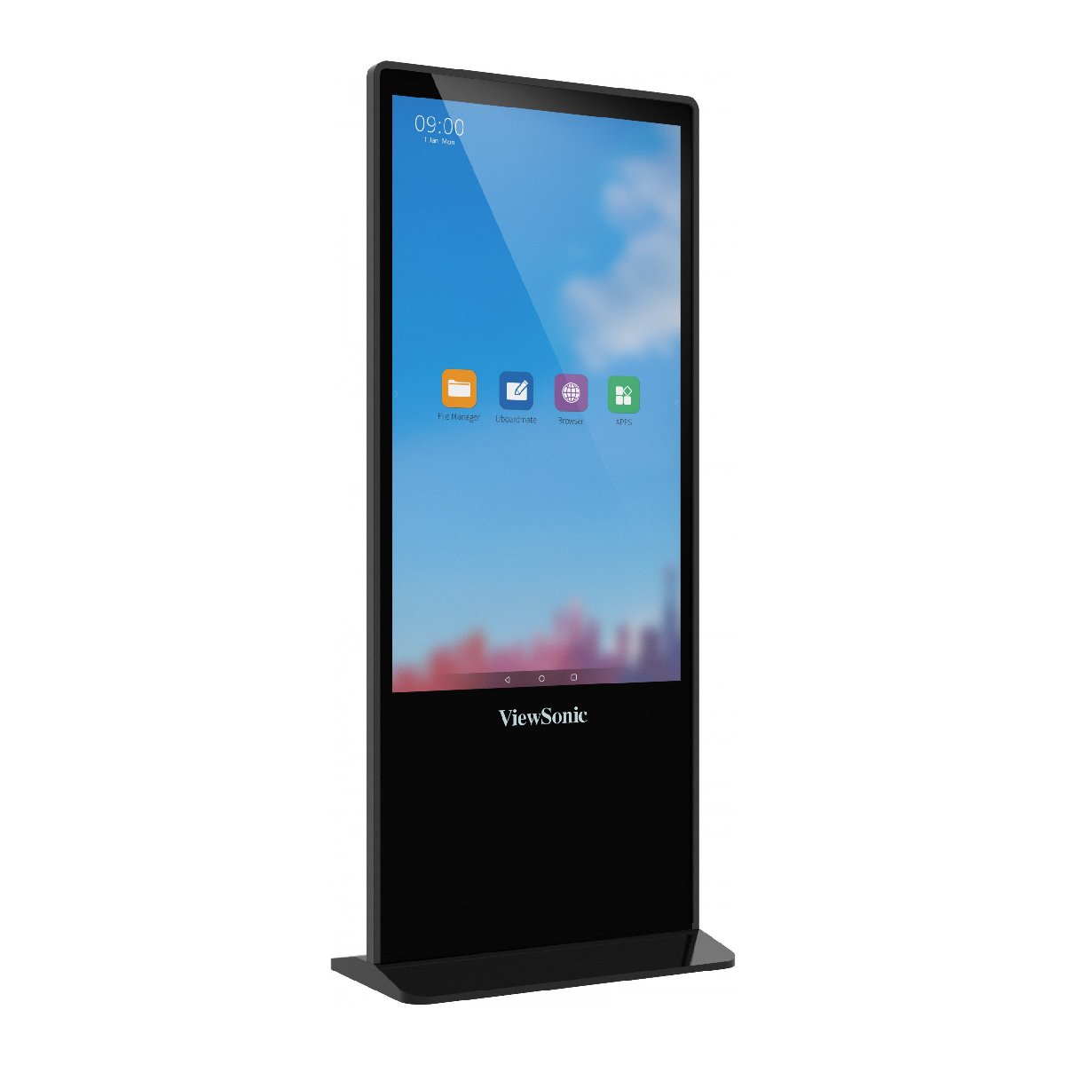 Профессиональный дисплей ViewSonic EP5542 – купить в Молдове - xstore.md photo 0
