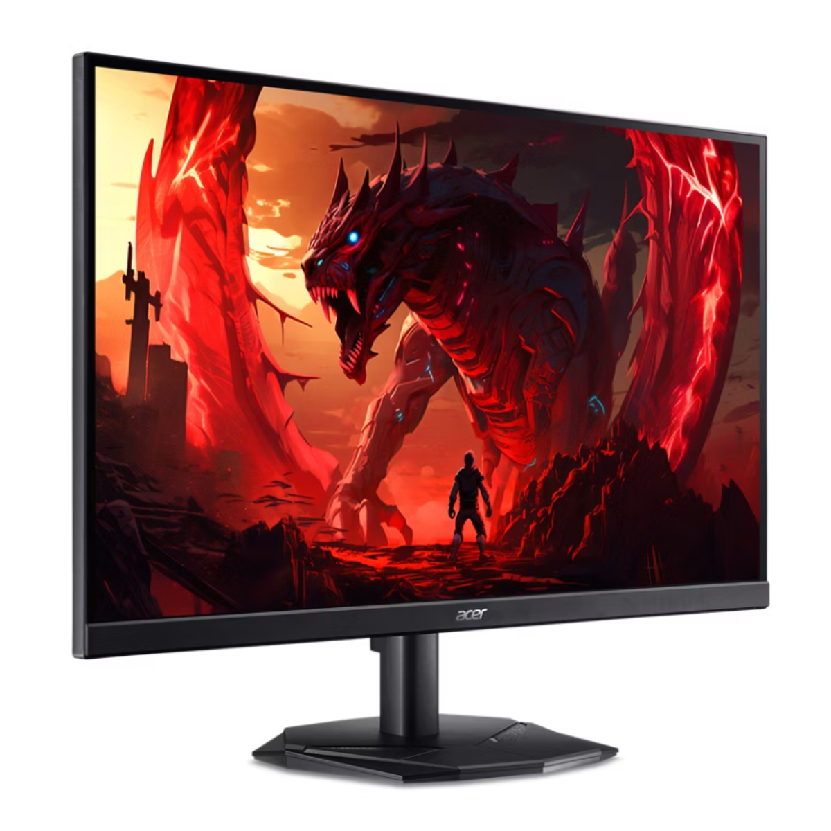 Monitor Acer Nitro KG242Y X1 în Moldova - xstore.md photo 0