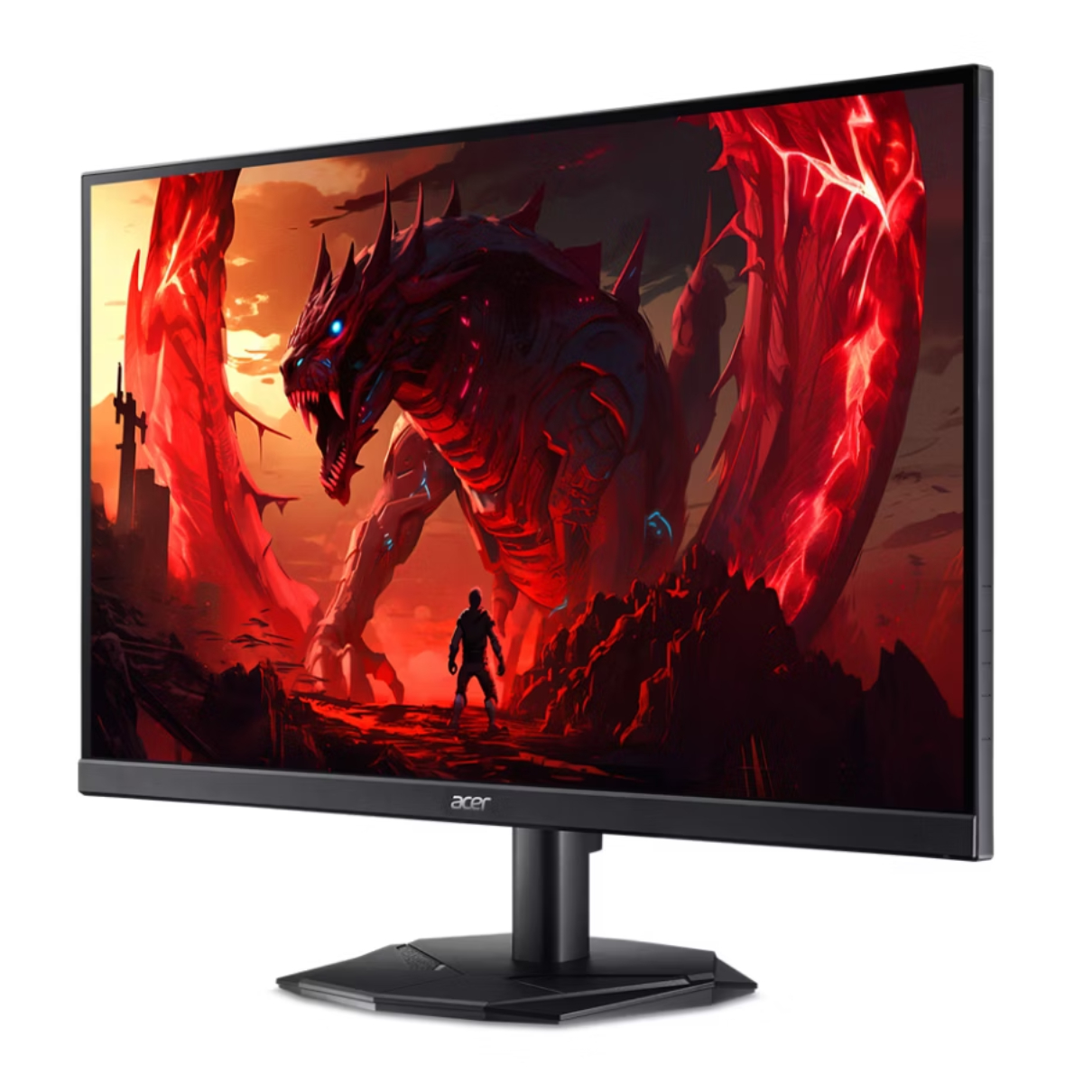 Monitor Acer Nitro KG242Y X1 în Moldova - xstore.md photo 1