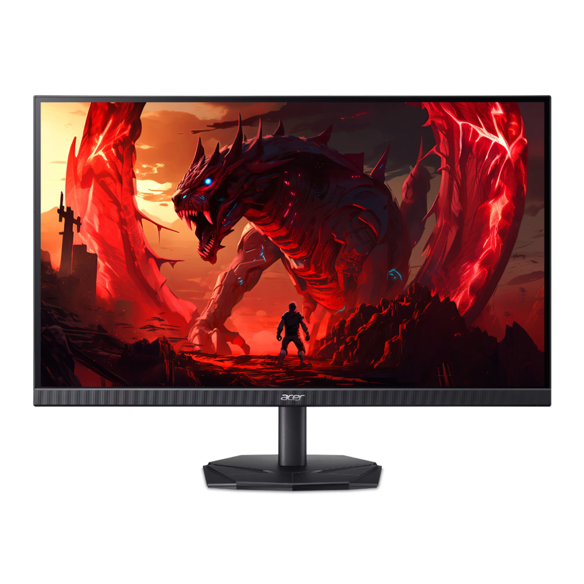 Monitor Acer Nitro KG242Y X1 în Moldova - xstore.md photo