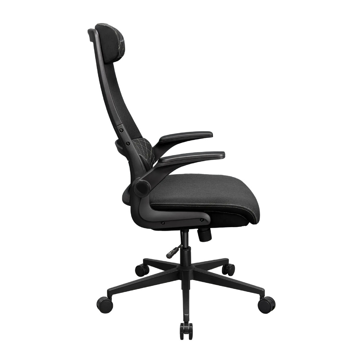 Scaun Gaming Cougar Stryder, Black în Moldova - xstore.md photo 2