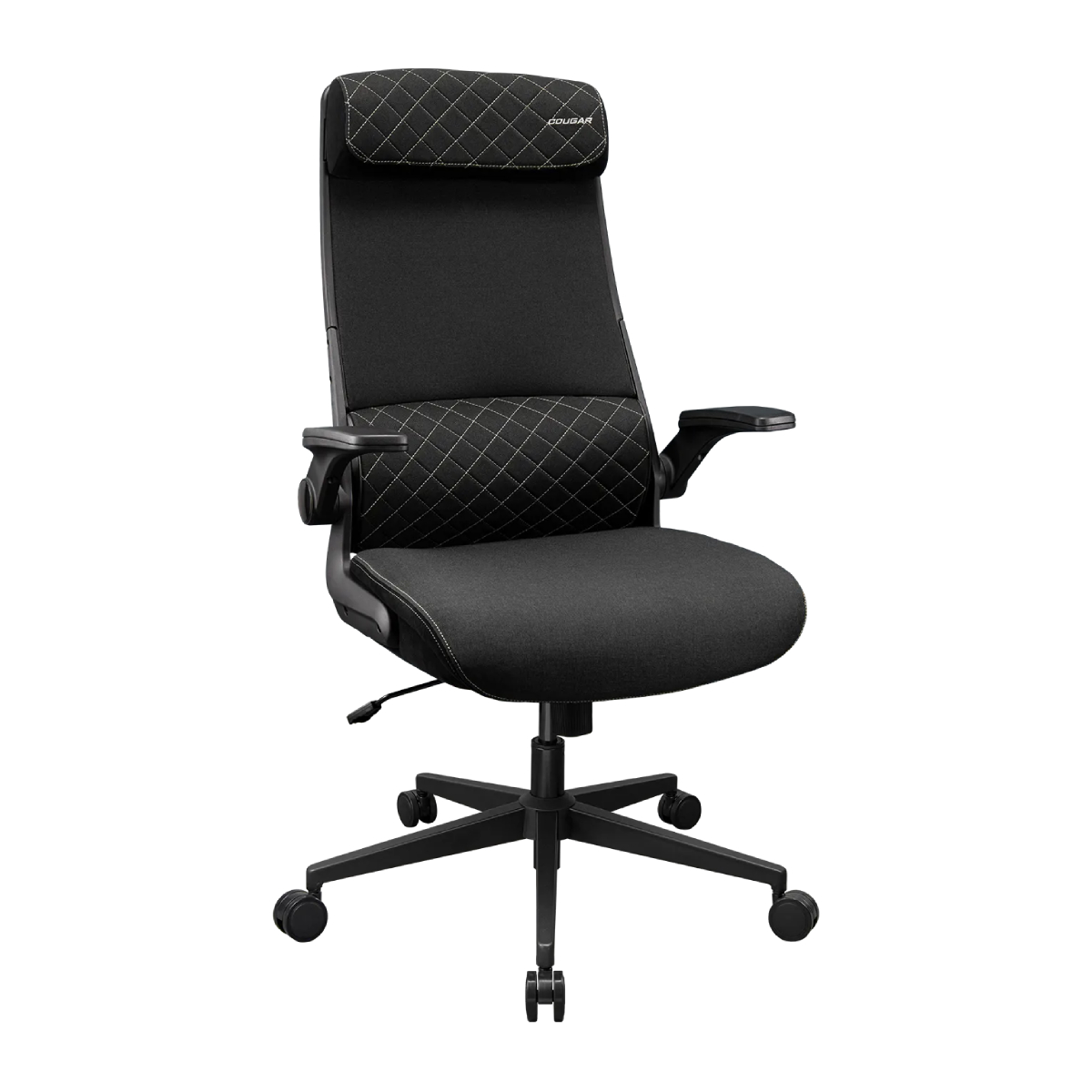 Scaun Gaming Cougar Stryder, Black în Moldova - xstore.md photo 0