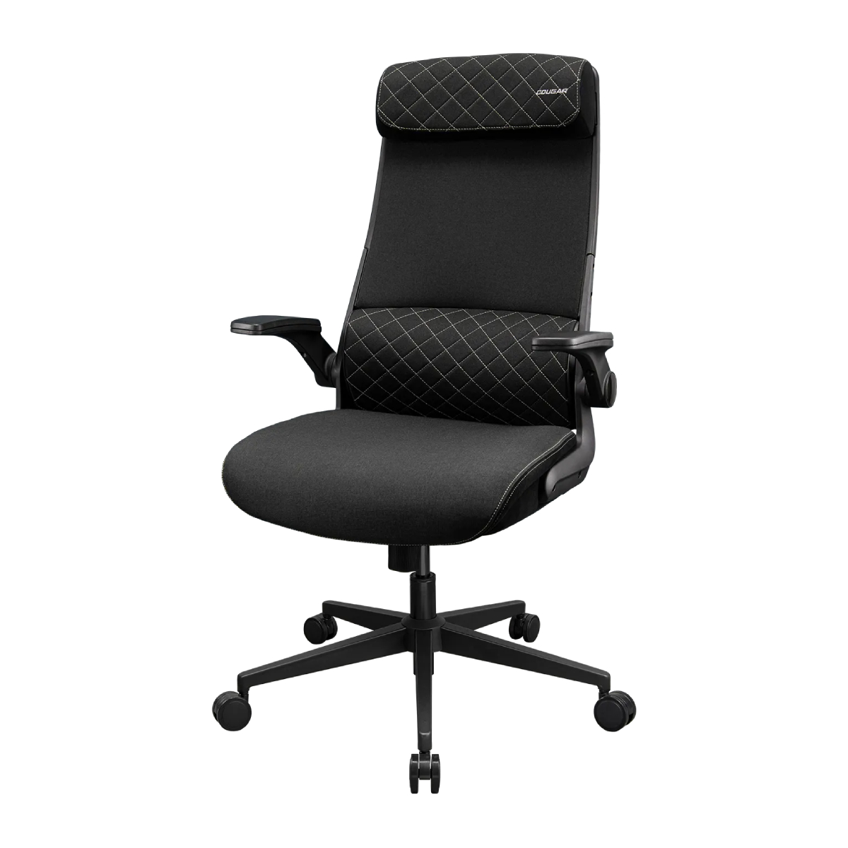Scaun Gaming Cougar Stryder, Black în Moldova - xstore.md photo 1