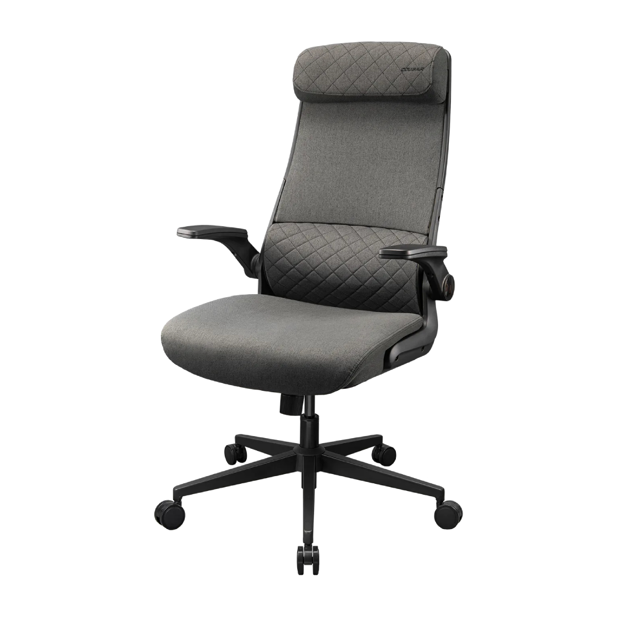 Scaun Gaming Cougar Stryder, Grey în Moldova - xstore.md photo 1