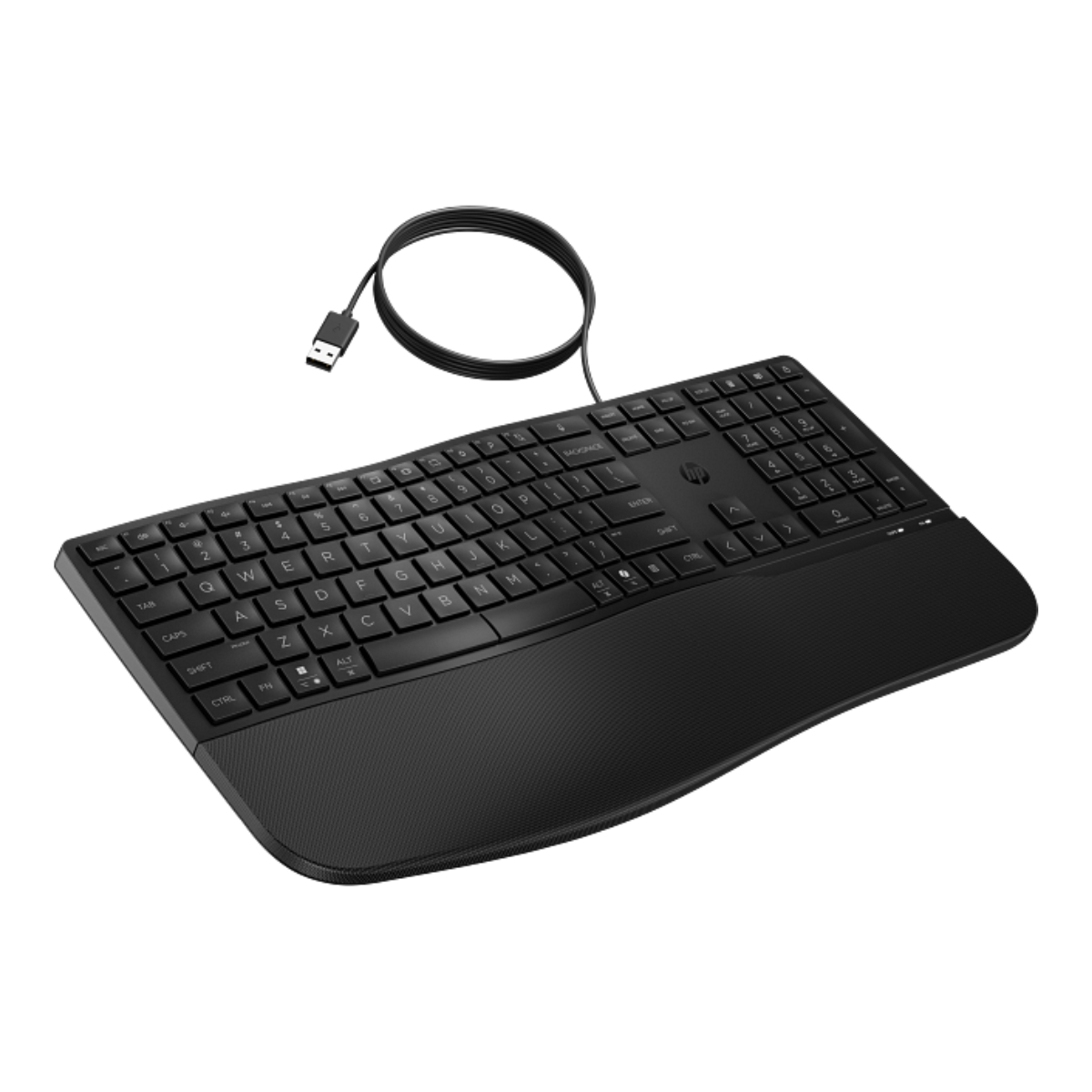 Tastatură cu fir HP 480 Comfort, Black - xstore.md photo 1