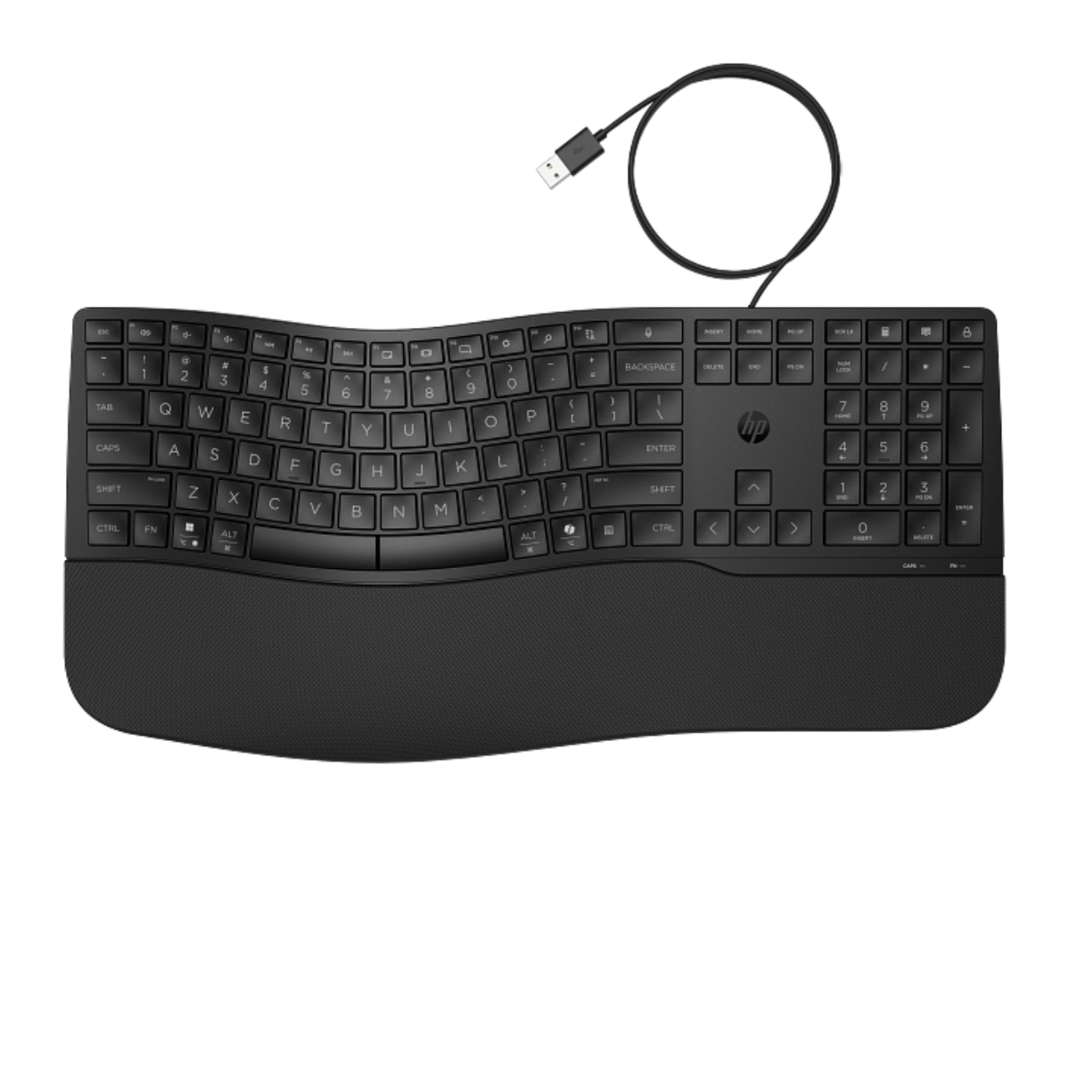 Tastatură cu fir HP 480 Comfort, Black - xstore.md photo