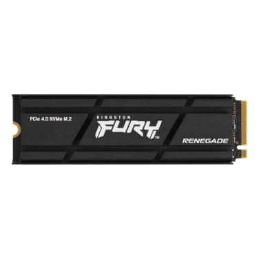 SSD Kingston FURY Renegade Heatsink SFYRSK/500G - xstore.md