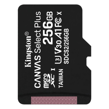 Карта памяти Kingston Canvas Select Plus 256GB - xstore.md