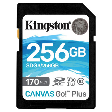Карта памяти Kingston Canvas Go! Plus 256GB - xstore.md