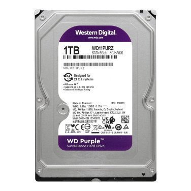 HDD WD Caviar Purple, WD11PURZ - xstore.md