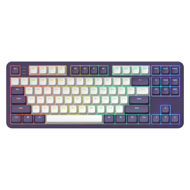 Клавиатура Dark Project 87 Violet - xstore.md