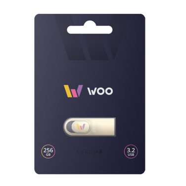 Флешка WOO Chroma 256GB, Silver
