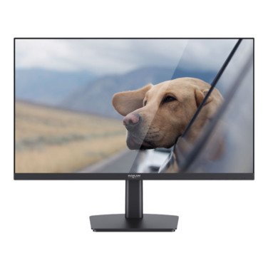Monitor HAILAN SD40IF