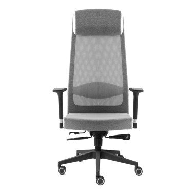Scaun xDrive TARSUS, Grey