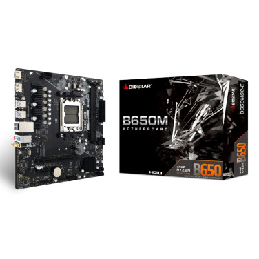 Материнская плата BIOSTAR B650MS2-E - xstore.md