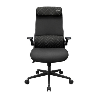 Scaun Gaming Cougar Stryder, Black - xstore.md
