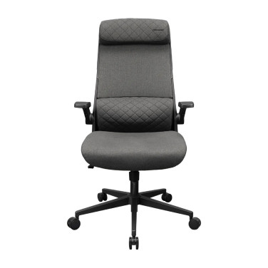 Scaun Gaming Cougar Stryder, Grey - xstore.md