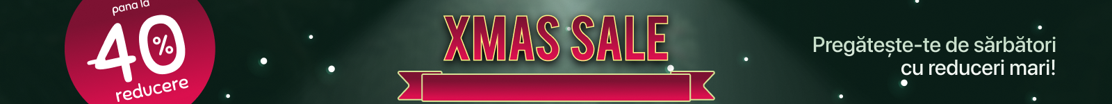 Christmas Sale banner