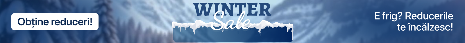 Winter Sale banner