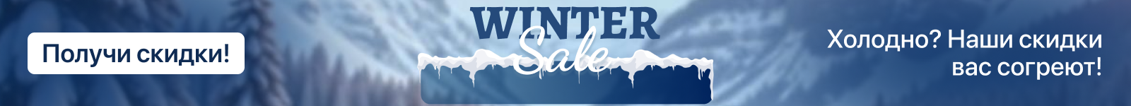 Winter Sale banner